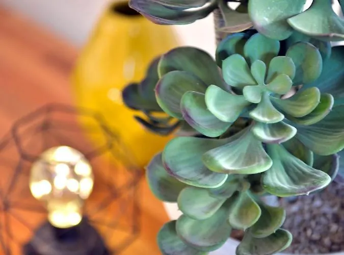 Apartamento Lux By Namaste Elite *