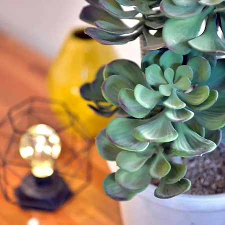 Apartamento Lux By Namaste Elite *