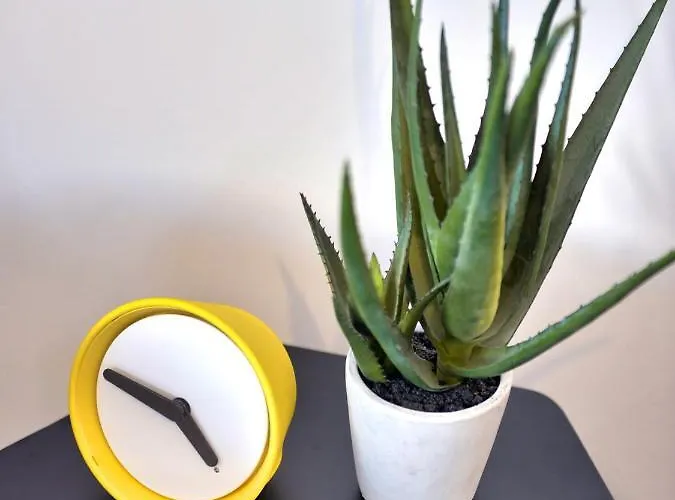 Lux By Namaste Elite * Торремолинос